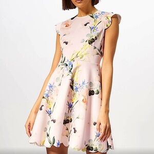 Ted Baker Karsali Elegance Scallop Skater Nude Pink Floral Cap Sleeve Dress 2 XS